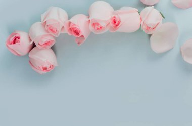 Pembe güllü güzel çiçek kompozisyonu, üst görünüm, kopyalama alanı arkaplanı