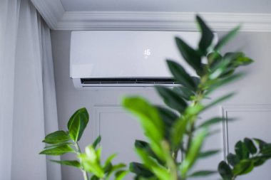 Güzel odanın içindeki klima, gri duvar, 16 derece. Yeşil bitki fihristi temiz havayla soğutulur. Kavramsal fotoğraf. Metin için boşluk