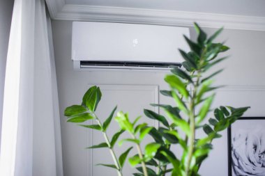 Güzel odanın içindeki klima, gri duvar, 16 derece. Yeşil bitki fihristi temiz havayla soğutulur. Kavramsal fotoğraf. Metin için boşluk