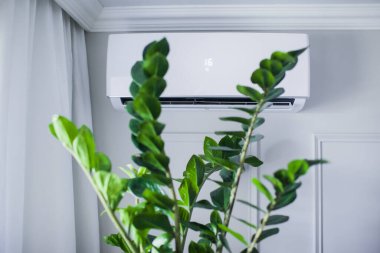 Güzel odanın içindeki klima, gri duvar, 16 derece. Yeşil bitki fihristi temiz havayla soğutulur. Kavramsal fotoğraf. Metin için boşluk