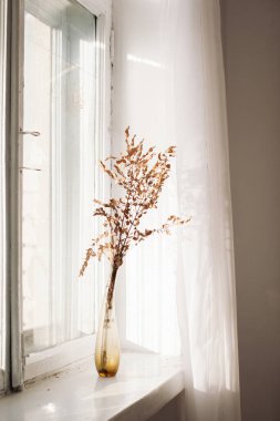 Pencere kenarındaki kurumuş çiçekleri kullanarak alan kavramını kopyala