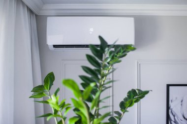 Güzel odanın içindeki klima, gri duvar, 16 derece. Yeşil bitki fihristi temiz havayla soğutulur. Kavramsal fotoğraf. Metin için boşluk