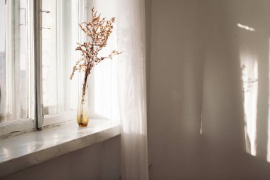 Pencere kenarındaki kurumuş çiçekleri kullanarak alan kavramını kopyala