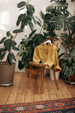 clothes on the old wooden chair with plants on background clipart