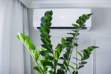 Güzel odanın içindeki klima, gri duvar, 16 derece. Yeşil bitki fihristi temiz havayla soğutulur. Kavramsal fotoğraf. Metin için boşluk