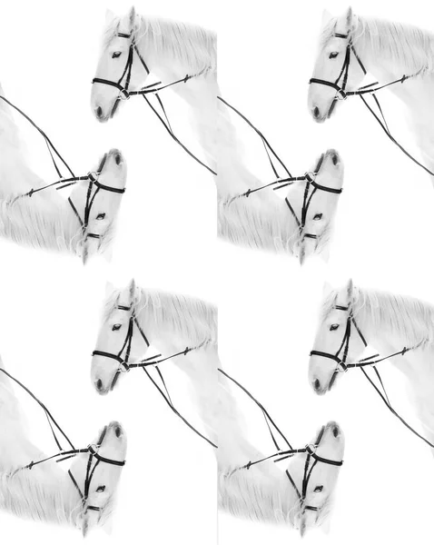 Myšlenka Kreativní Fotografie Symetrický Prázdný Dvěma Koňmi Růžové Barvě Kopírovací — Stock fotografie