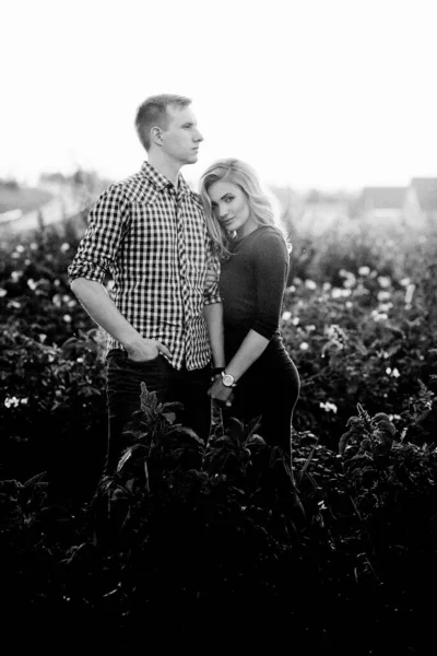 Belo Jovem Casal Apaixonado Divertindo Campo Livre — Fotografia de Stock