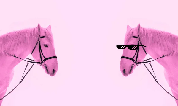 アイデア創造的な写真ピンク色 コピースペース テキストのための場所の2頭の馬と対称的なブランク — ストック写真