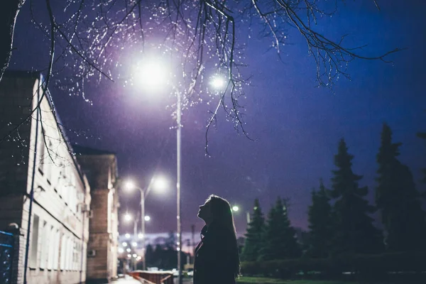 Kış caddesinde poz veren güzel bir kadının yan görüntüsü