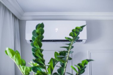 Güzel odanın içindeki klima, gri duvar, 16 derece. Yeşil bitki fihristi temiz havayla soğutulur. Kavramsal fotoğraf. Metin için boşluk