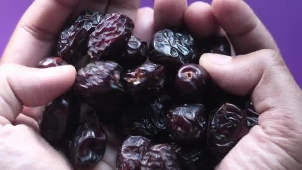 Top view of date fruit on palm of hand. — Stock Video