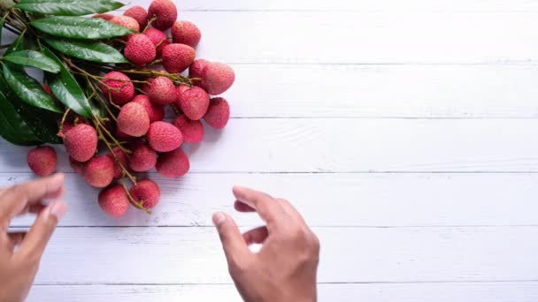 Lychee com folhas isoladas em fundo branco — Vídeo de Stock