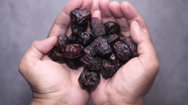 Hoge hoek weergave van de datum fruit op palm van de hand. — Stockvideo