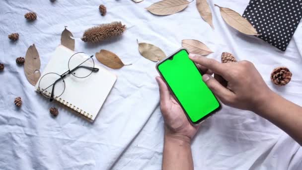 Usando un teléfono inteligente con pantalla verde, de arriba hacia abajo — Vídeos de Stock