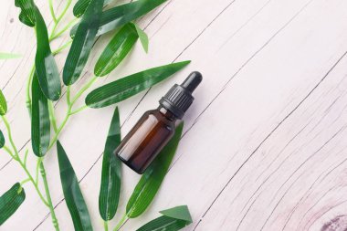 Beyaz arka planda bitkilerle dolu şişe 