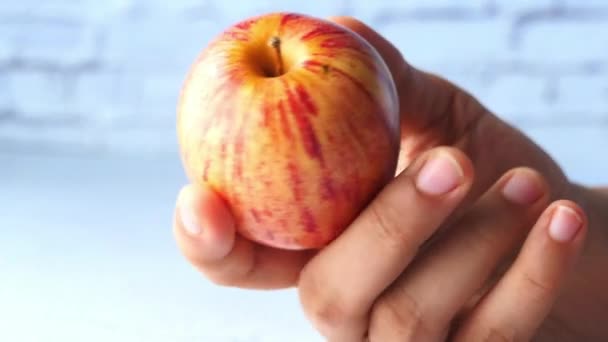 Czerwone dojrzałe jabłko na rękach kobiet, odizolowane na białym . — Wideo stockowe