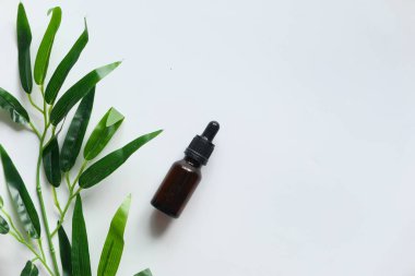 Beyaz arka planda bitkilerle dolu şişe 