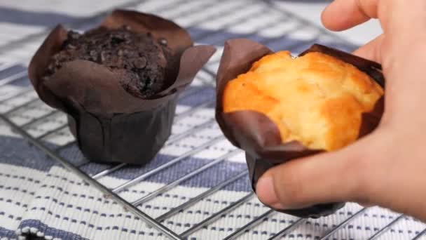 Close up de mulheres mão colocando muffins na mesa — Vídeo de Stock