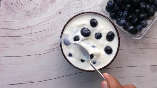 Nahaufnahme von frischem Joghurt mit blauen Beeren in einer Schüssel — Stockvideo