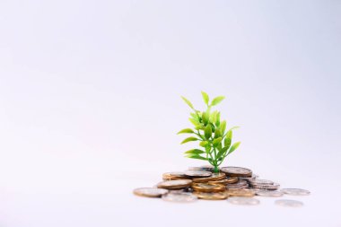 Bozukluklarla büyüyen genç planı kapat.