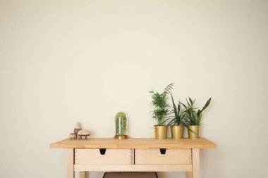 Minimalist ahşap bir masa dekoratif eşyalar ve saksı bitkileri sergiler.
