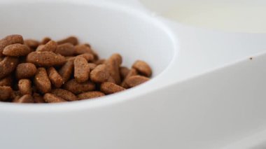 Köpek ve kedi kuru yiyecekler bir beslenme istasyonunda güzelce düzenlenir..