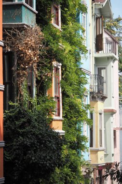 Yeşilliklerle kaplı canlı binalar hareketli bir sokak atmosferi yaratır..