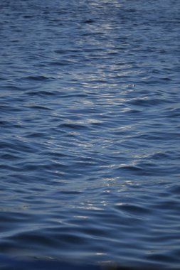 Gün ışığı, gece boyunca sakin bir gölün yüzeyinde parlar..