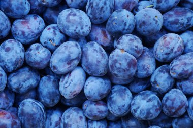 Mavi-mor meyveler yerel bir markette bir araya toplanır..