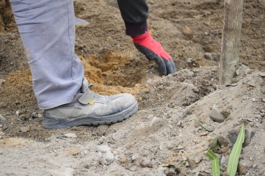 Eldiven ve bot kullanan biri toprağa fidanlar ekiyor..