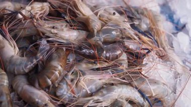 Taze karidesler bir deniz ürünleri pazarında buzda sergilenir..