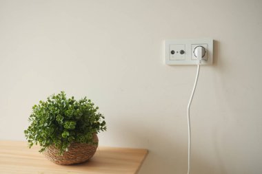 Bir şarj cihazı bir masanın üzerinde küçük bir saksı bitkisinin yanına takılır.