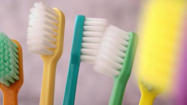 Farklı renkte diş fırçaları ağız bakımının önemini gösterir..
