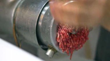 Sabahleyin yerel bir kasapta taze etin öğütülüşünü izle..