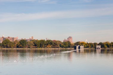 Jackie Onassis Barajı. Central Park, New York 'taki Jackie Onassis Reservoir' ın karşısındaki manzara durgun bir sonbahar sabahında.