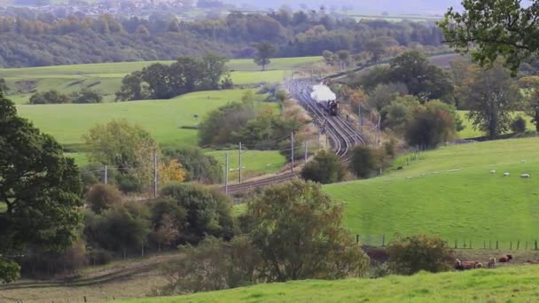 Locomotiva Vapor Preservada Alberta Dirige Cumbrian Mountain Express Através Campo — Vídeo de Stock