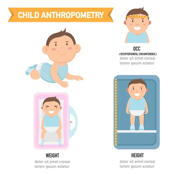 Child Anthropometry Infographic Vector Illustration — Stock Vector