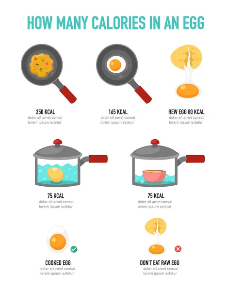 Bir Yumurta Infographic Vektör Çizim Kaç Kalori — Stok Vektör