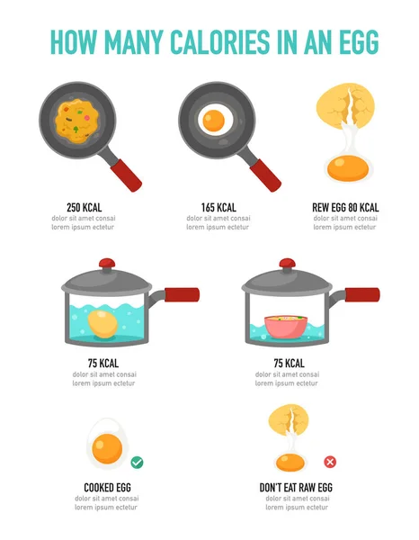 Πόσες Θερμίδες Στο Infographic Αυγό Εικονογράφηση Διάνυσμα — Διανυσματικό Αρχείο