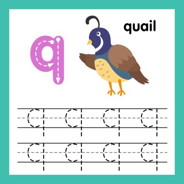 Alfabe Q egzersiz karikatür kelime illüstrasyon ile vektör