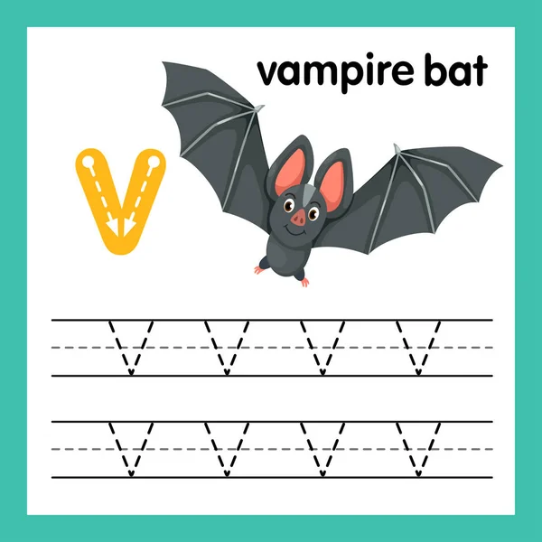 Alfabeto Ejercicio Con Ilustración Vocabulario Dibujos Animados Vector — Vector de stock