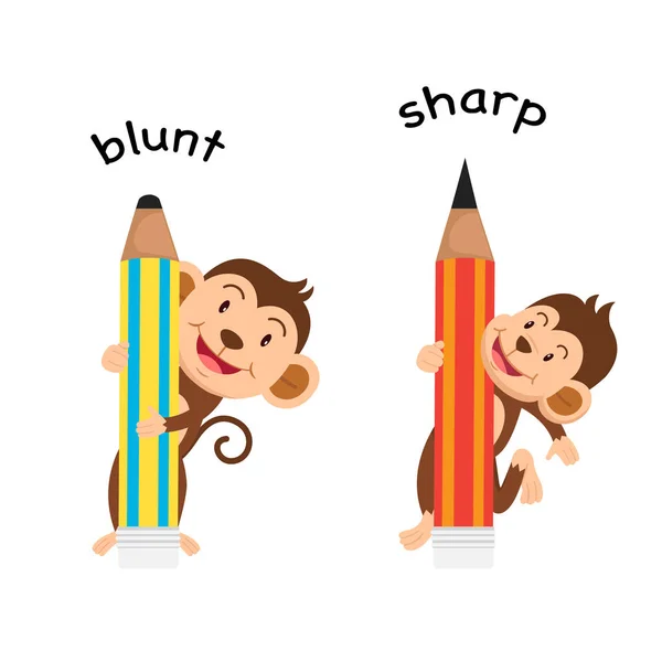 Sharp Blunt Vector Illustration — Stock Vector