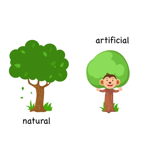 自然と人工のベクトル図の反対側 — ストックベクタ