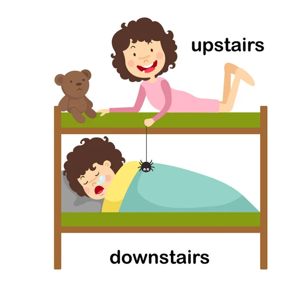 Mittemot Nedervåningen Och Övervåningen Vektorillustration — Stock vektor
