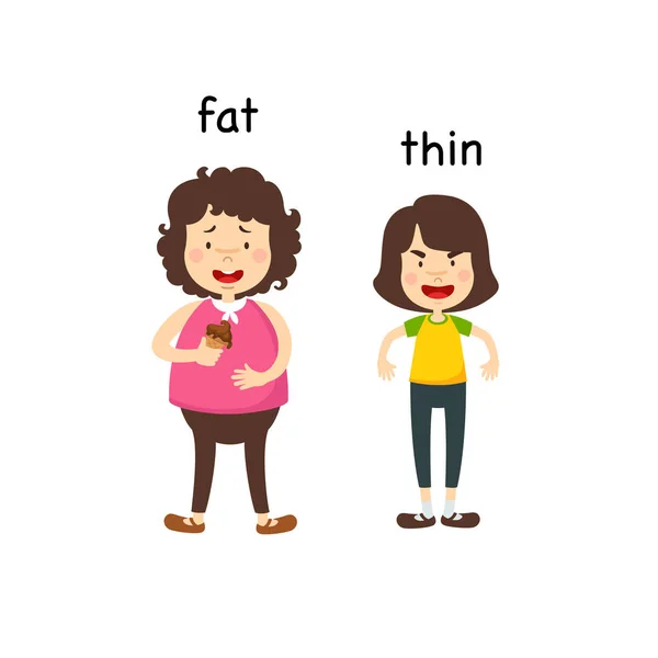 Fat Thin Vector Illustration — Stock Vector