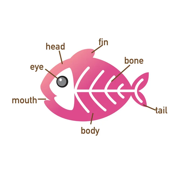 Illustrazione Della Parte Del Vocabolario Dei Pesci Raggi Del Corpo — Vettoriale Stock