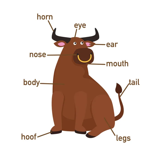 Ilustração Vocabulário Iaque Parte Body Vector — Vetor de Stock