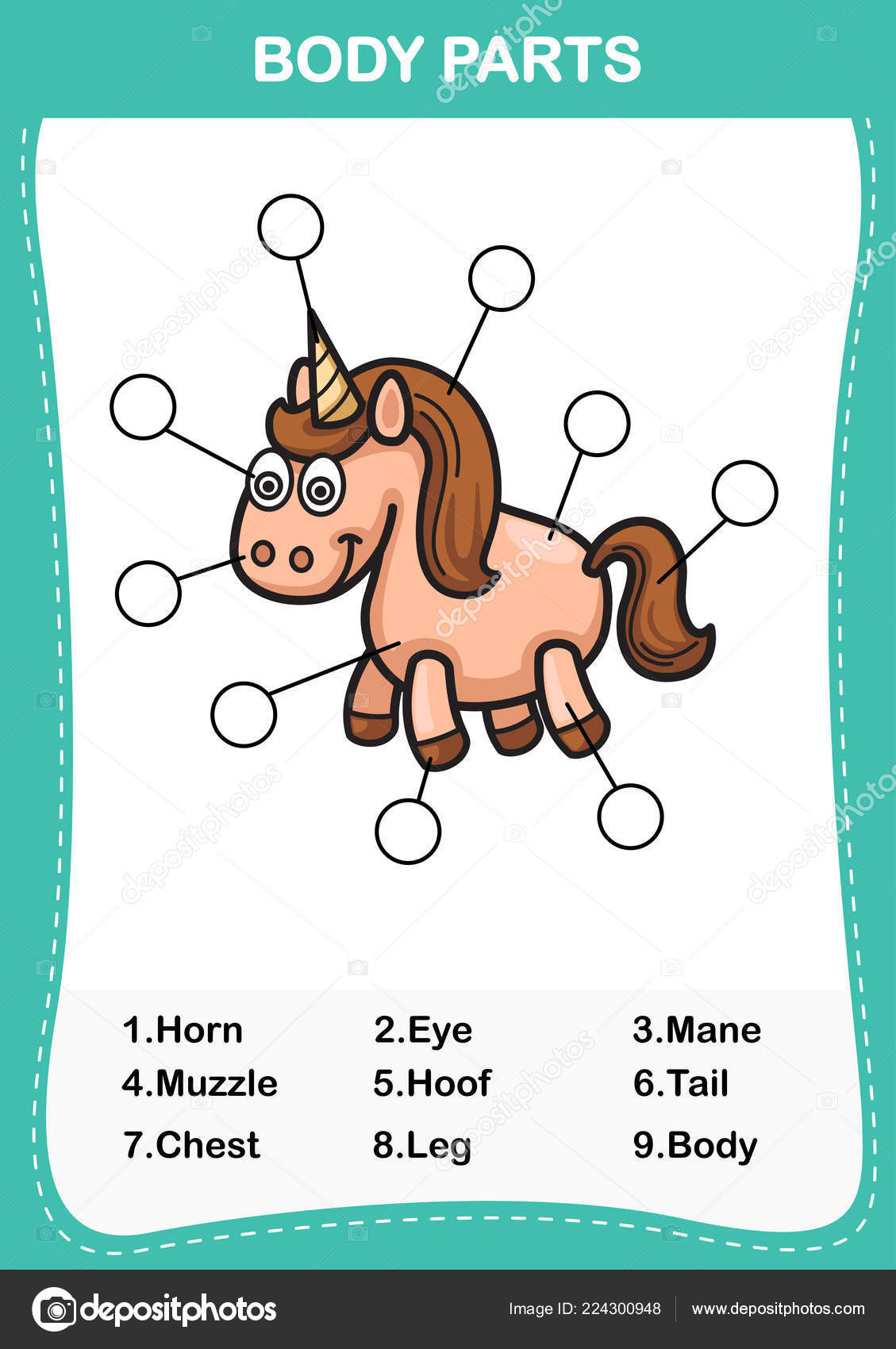 Illustration Horse Vocabulary Part Body Write Correct Numbers Body Inside Parts Of The Horse Worksheet
