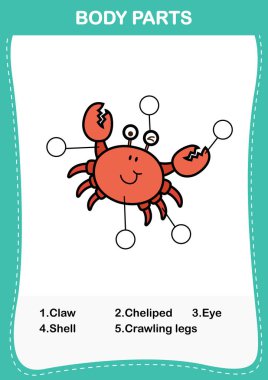 Yengeç kelime uzuv / organ, resmi vücut parts.vector doğru sayıda yazmak