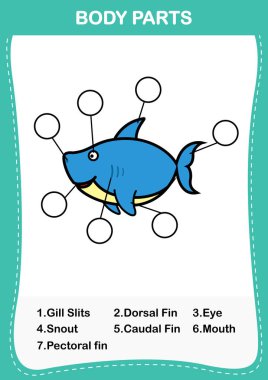 Köpekbalığı kelime Uzuv / Organ, resmi vücut parts.vector doğru sayıda yazmak